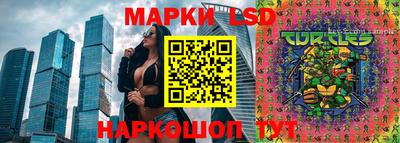 дмт Кимры