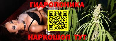 а пвп мука Кингисепп