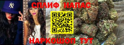 дмт Кимры